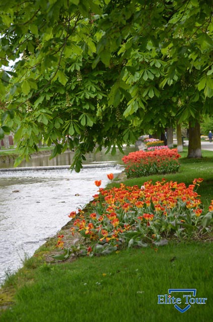 Морж, Швейцария